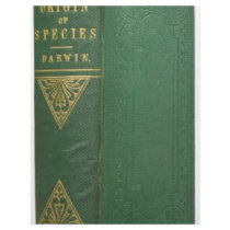 Darwin's Origin of Species Letterhead
