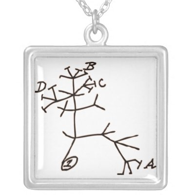 Darwin's Tree Jewelry