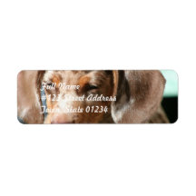 Daschund Dog Mailing Label