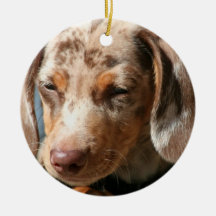 Daschund Dog Ornament
