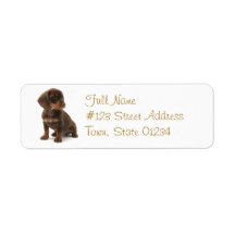 Daschund Dog Return Address Label