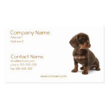 Daschund Puppy Business Card
