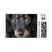 Daschund Puppy Postage Stamp