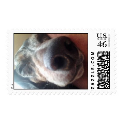 puppy stamp