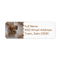 Daschund Rescue Mailing Label