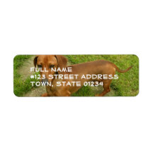 Daschund Return Address Mailing Label