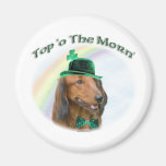 Daschund Top of the Morn Magnet