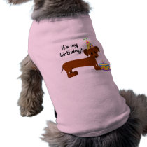 DaschundBDay, It's mybirthday! Pet Tee