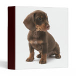 Dashchund Puppy Dog Binder binders