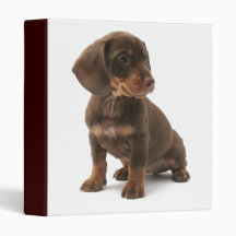 Dashchund Puppy Dog Binder