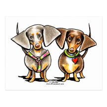 Dashing Dappled Dachshunds Postcard
