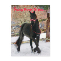 Dashing through the snow... postcards