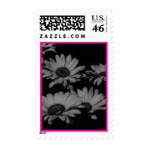 Dasies postage