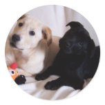 Data and Violet Labs sticker