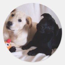Data and Violet Labs sticker