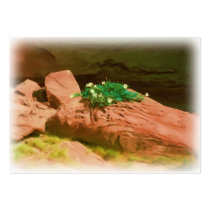 Datura Cavern ATC business cards