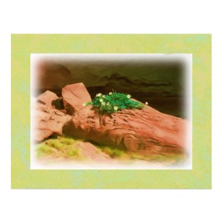 Datura Cavern Print