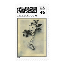 Datura Flower And Coyote Bones stamps