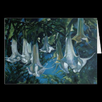 Datura cards