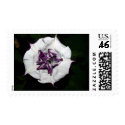 Datura Metal Stamp