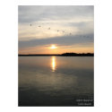 Daufuskie Bound posters