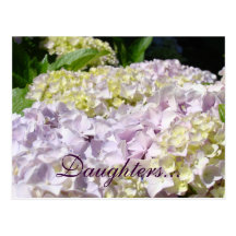 Daughters postcards Lavender Hydrangea Flowers