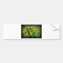 DAUPHIN ISLAND, ALABAMA BUMPER STICKER