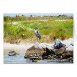 Dauphin Island