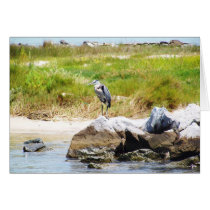 Dauphin Island cards by slinky789 Dauphin Island cards