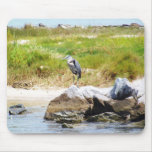 Dauphin Island