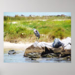 Dauphin Island posters