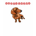 Daushound Shirt