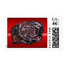 Dave Stamp