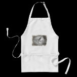 Dave with toys aprons