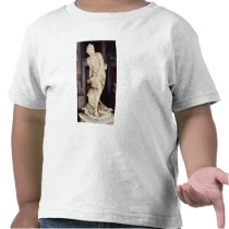 David, 1623-24 shirt