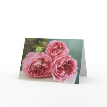 David Austin English Roses Heritage Mothers Day Greeting Cards