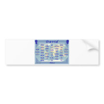 David Bumper Sticker