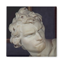 David, detail of the head, 1623-23 refrigerator magnets