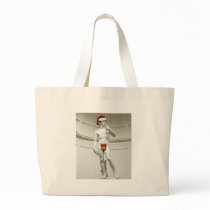 David Santa bags