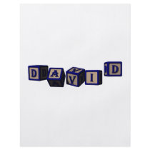 David toy blocks in blue. flyers by toyblocks David toy blocks in blue. flyers