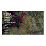 David's Penstemon Business Card