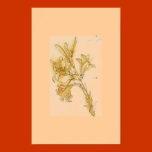 DaVinci Lily White Mat posters
