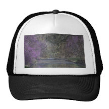 Davis Arboretum Creek Hats
