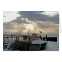 Davis Bay Snowy Day cards