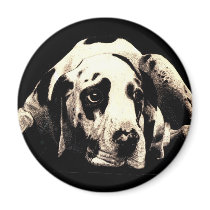 Dawg magnets