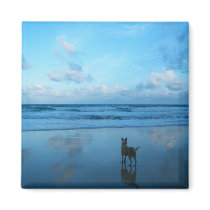 Dawn At Karon Beach,Phuket Island magnets