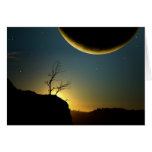 Dawn cards