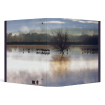 Dawn Color & Cranes Avery Binder