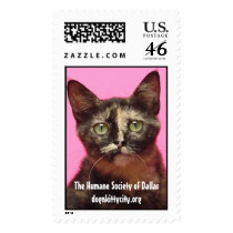 Dawn - dognkittycity.org Stamps by Humane_Society Dawn - dognkittycity.org Stamps