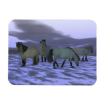 Dawn Horse Flexible Magnets